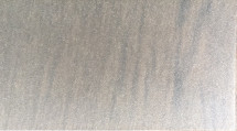 diffuseur De protégé de la poussière en plastique 011267 de lumière du plafond LED de 55*30*0.05mm