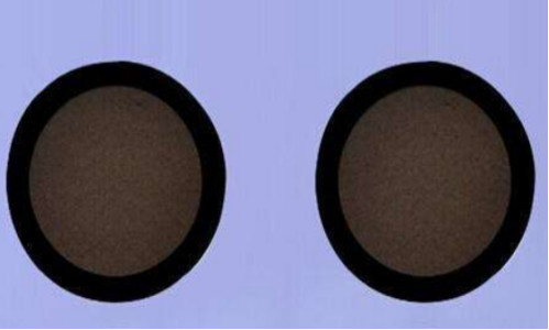 Film PTFE étanche à l'eau et filet en nylon ou en polyuréthane pour appareil photo et produit capillaire