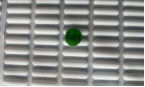 Anti glissement Universalised pieds en caoutchouc de silicone sous le clavier L20*W5*T2.4 millimètre
